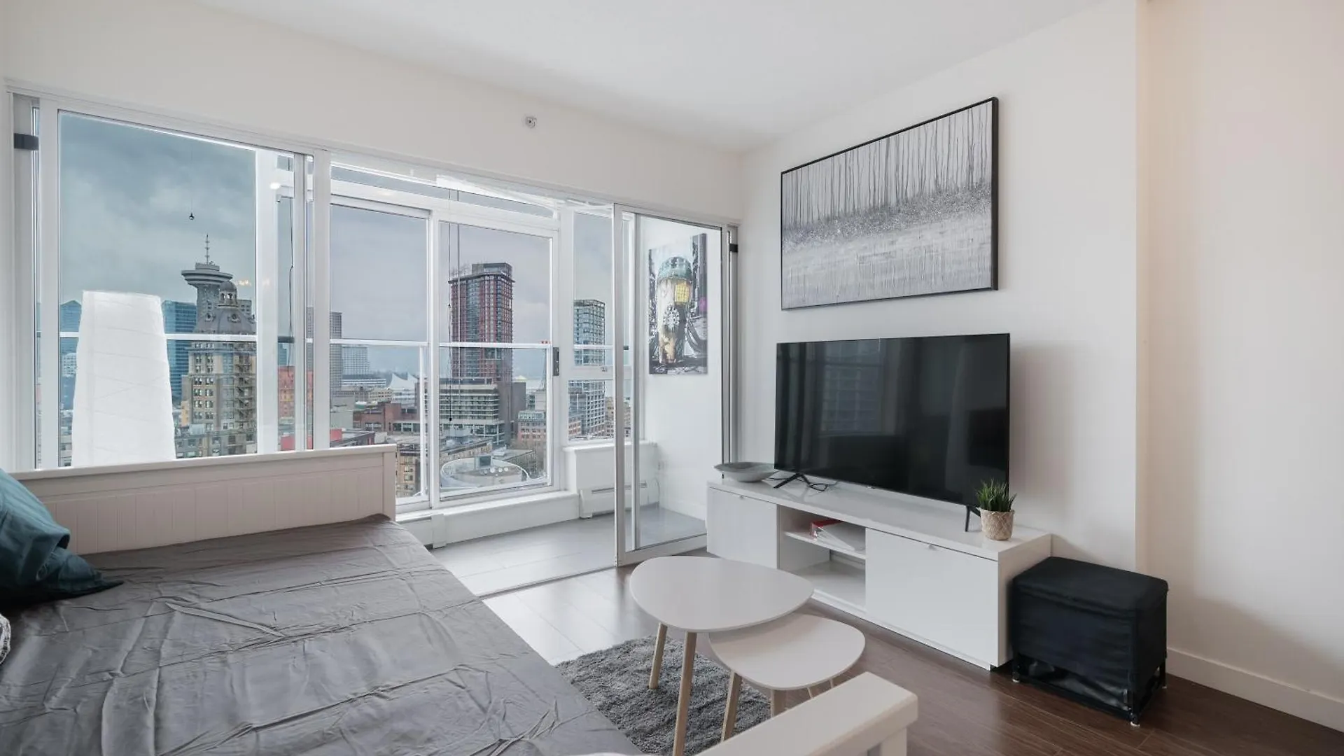 Great Ocean Mountain & City Views With One Free Parking Vancouver Apartment